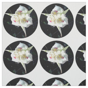 Tela Lily Dot