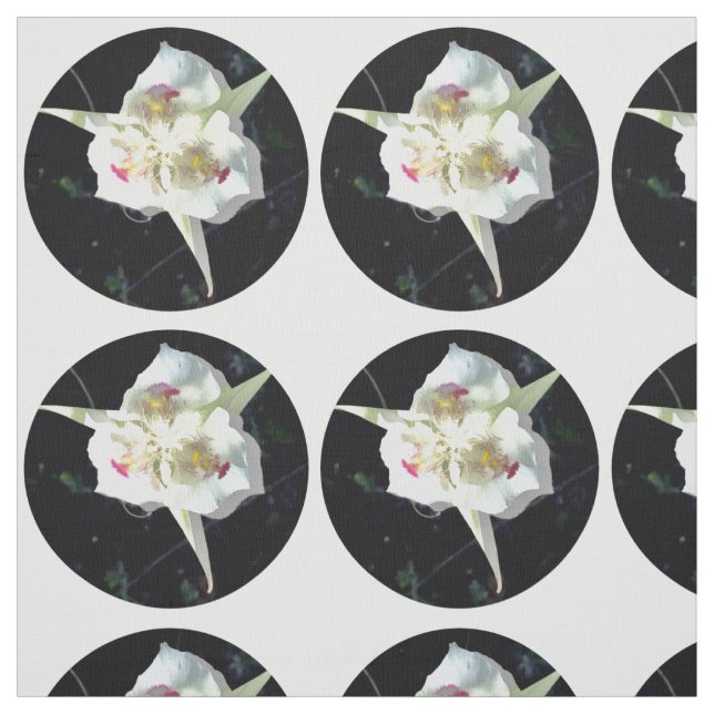 Tela Lily Dot (Retal)