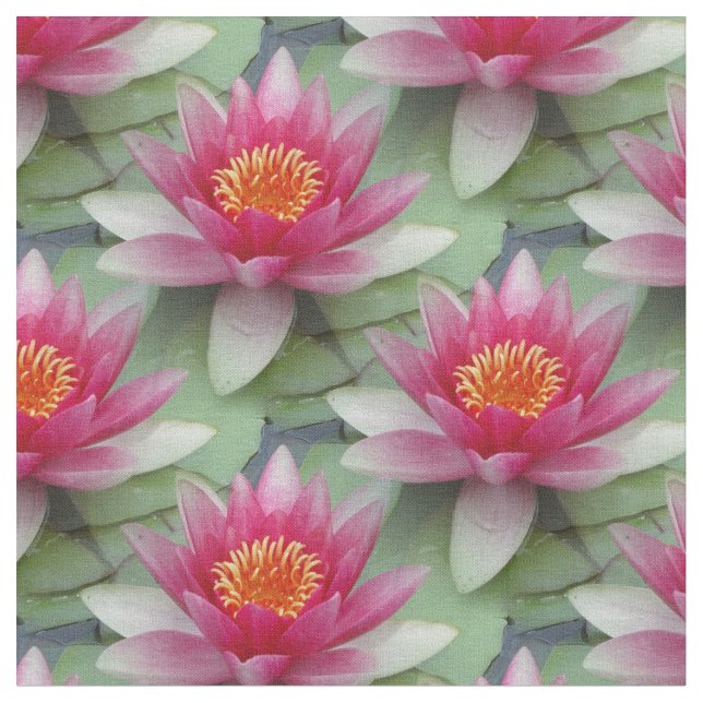 Tela Lirio de agua rosa Lotus (De cerca)