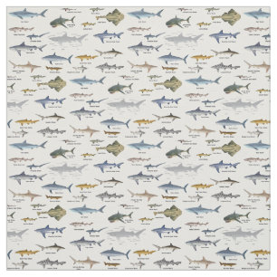 Tela Listas de identificación de tiburón etiquetadas