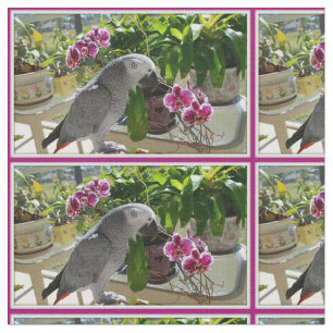 Tela Loro del gris africano con las orquídeas
