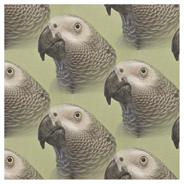 Tela Loro gris negro del Congo (De cerca)