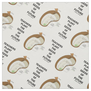 Tela Los Maestros Plantan Las Semillas De Las Futuras S