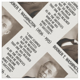 Tela Los obstáculos del Booker T. Washington superados