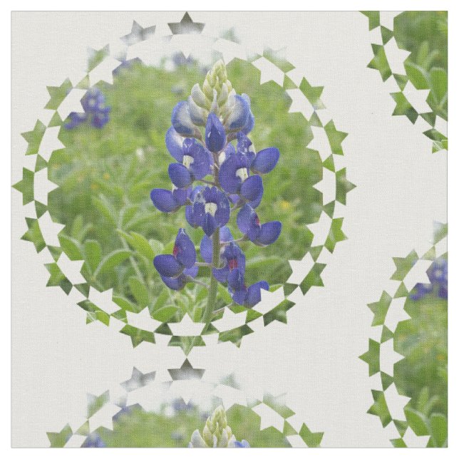 Tela Lupine azul (De cerca)