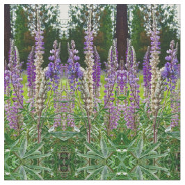 Tela Lupines All in a Row