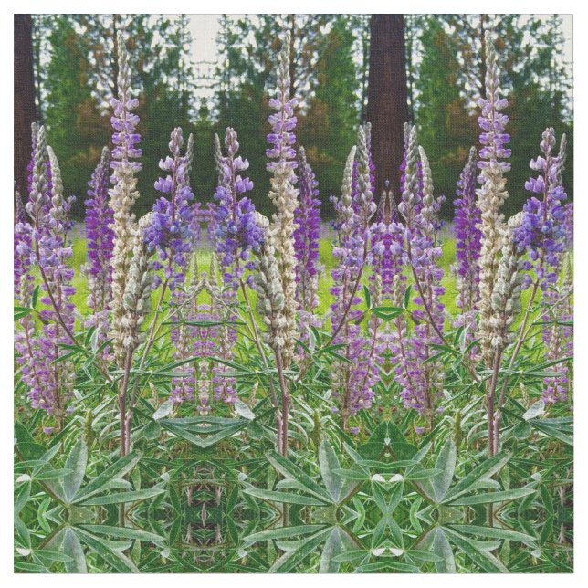 Tela Lupines All in a Row (De cerca)