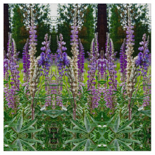 Tela Lupines All in a Row