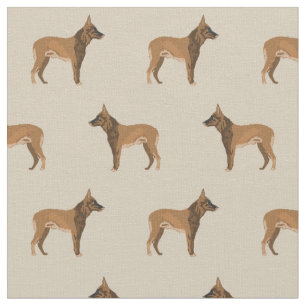 Tela Malinois belga