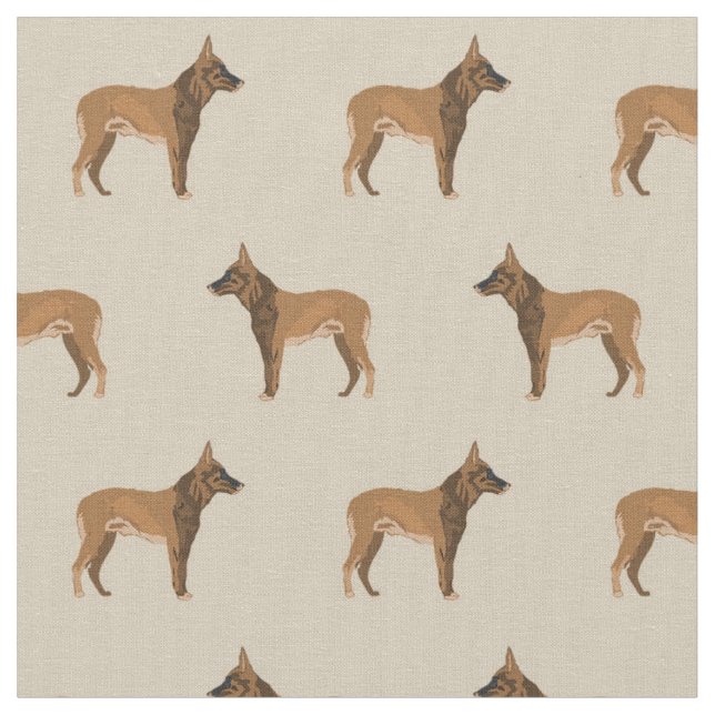 Tela Malinois belga (De cerca)