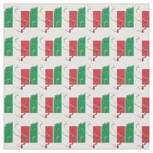 Tela MAPA ITALIANO   Bandera italiana