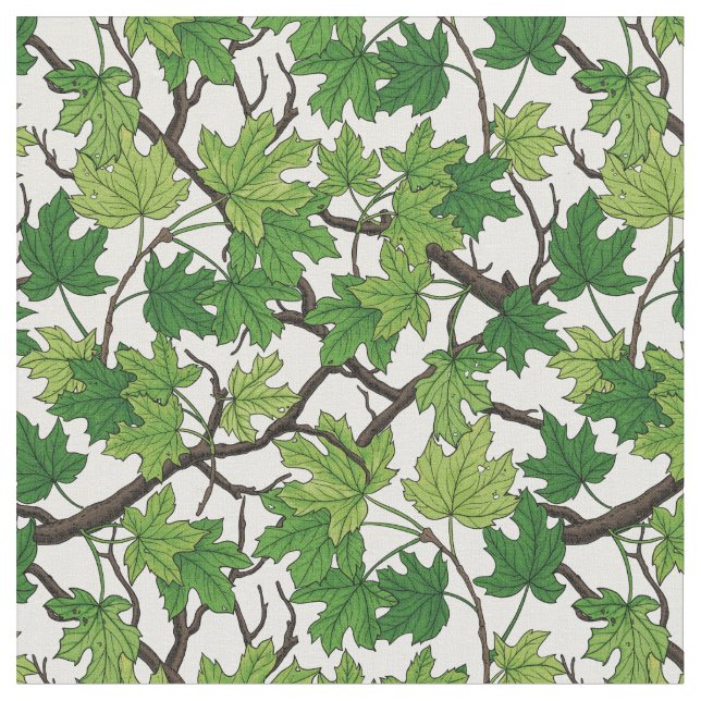 Tela Maple leaves on white (De cerca)