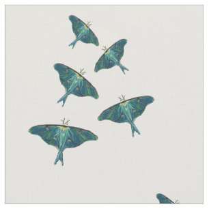 Tela Mariposa moscal azul