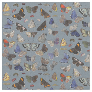Tela Mariposas, 1842