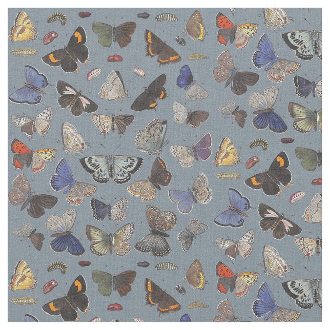 Tela Mariposas, 1842 (De cerca)