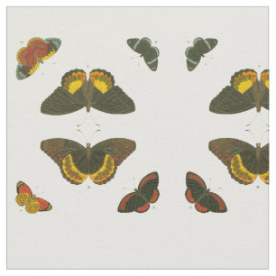 Tela Mariposas brillantes de Pieter Cramer