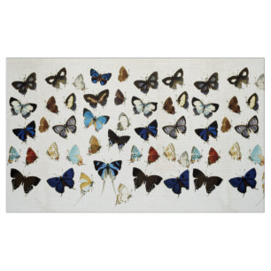 Tela MARRÓN BLANCO AZUL BUTTERFLIES Belleza Naturaleza 