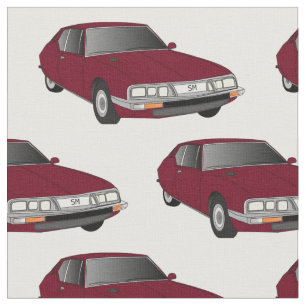 Tela marrón de Citroen SM (placa modificada)