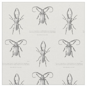 Tela Materia textil del ilustracion del escarabajo del