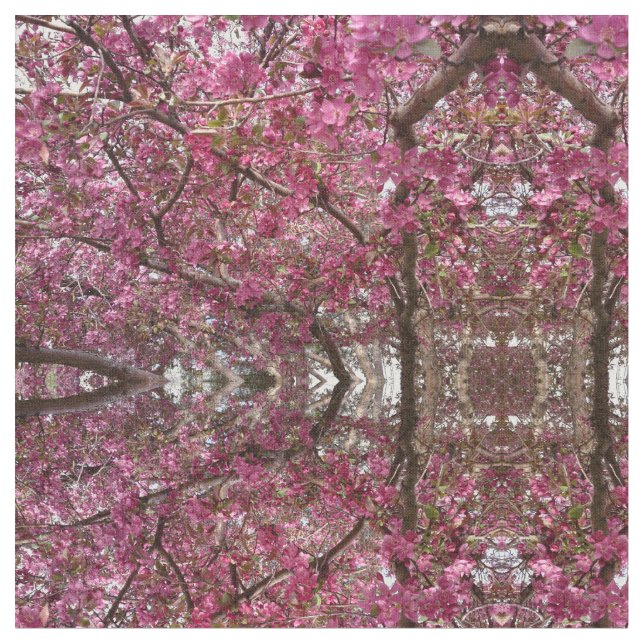 Tela Material de la colmena de Apple de cangrejo (De cerca)