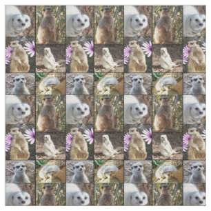 Tela Materiales de algodón compuestos de Collage de fot