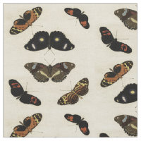 Medley de mariposa colorida sobre fondo crema