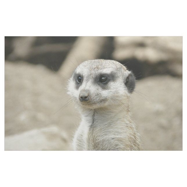 Tela Meerkat (Yarda)