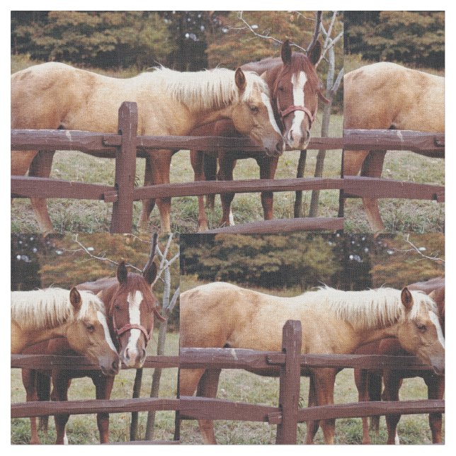 Tela Mejores amigos (De cerca)