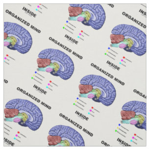 Tela Mente Organizada Dentro Humor de Cerebro Anatómico