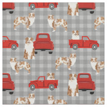 Merle roja australiana y camioneta roja