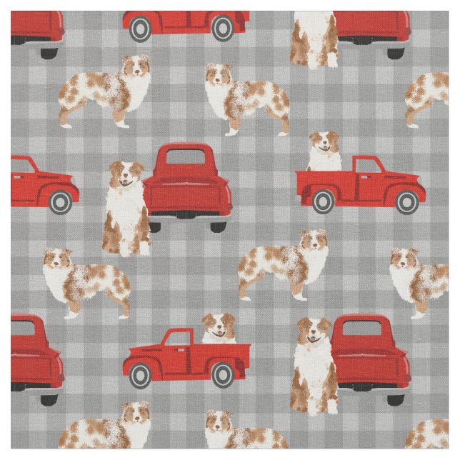 Tela Merle roja australiana y camioneta roja (De cerca)