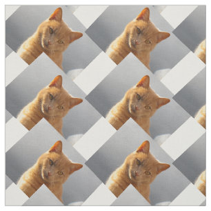 Tela Merlín, gato jengibre