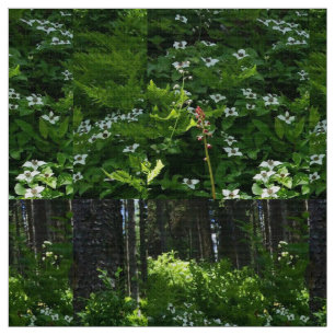 Tela Mi trillium canadiense