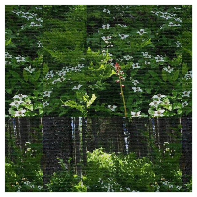 Tela Mi trillium canadiense (Retal)