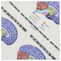 Mi Vida Tiene Que Señalar Considerar El Trasplante