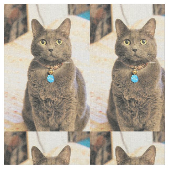 Tela Mims (De cerca)