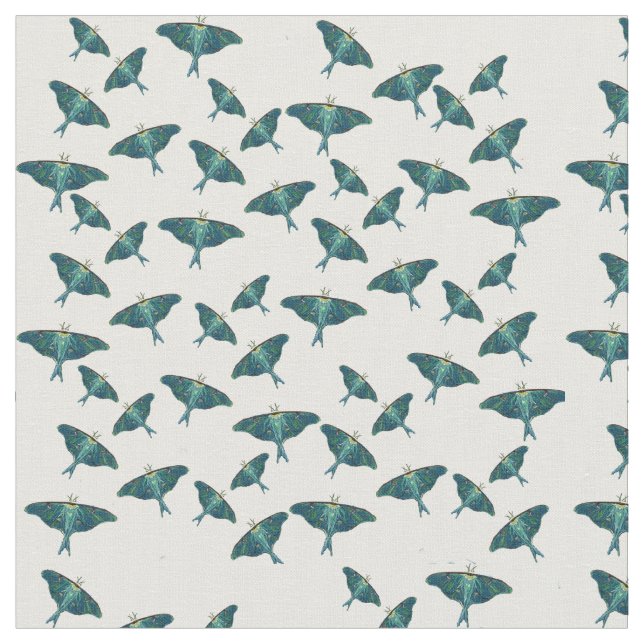 Tela Moda de mariposa azul (De cerca)