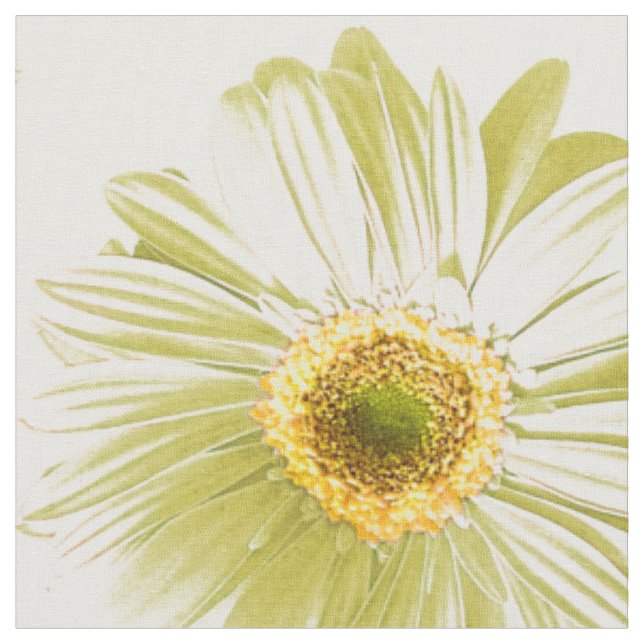 Tela Modelo de la margarita blanca (De cerca)
