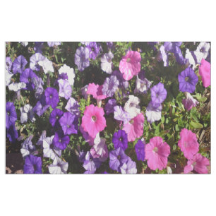 Tela Modelo de la petunia