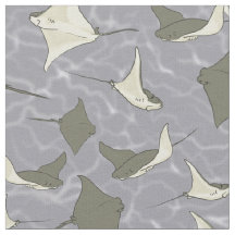 Modelo del océano de la pastinaca de Cownose