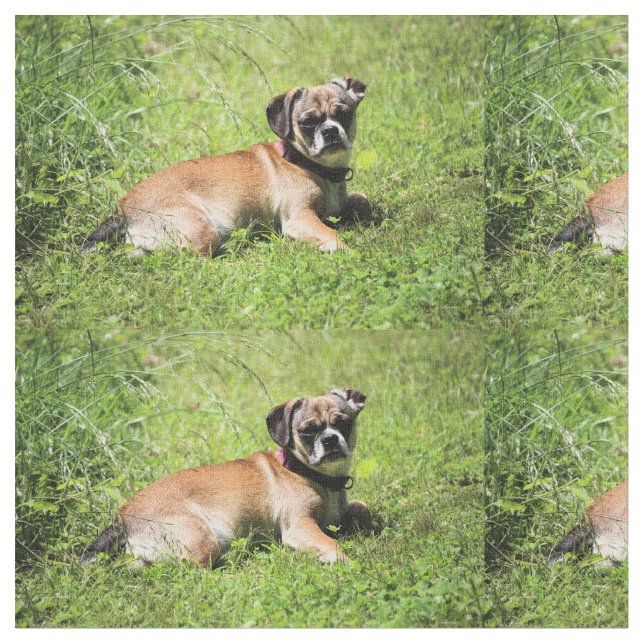 Tela Molly (De cerca)