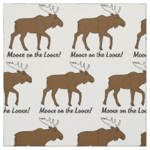 ¡Moose on Loose!
