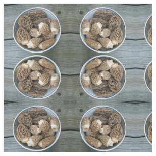 Tela Morel Mushrooms
