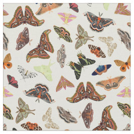 Tela Motos insectos naturaleza hermosa