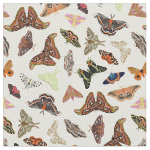 Tela Motos insectos naturaleza hermosa
