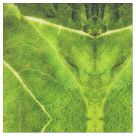 Tela Mullein verde