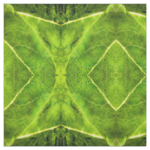 Tela Mullein verde
