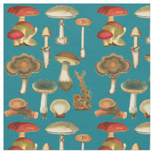 Tela Mushrooms Fungi Plant Jardín botánico arte de co