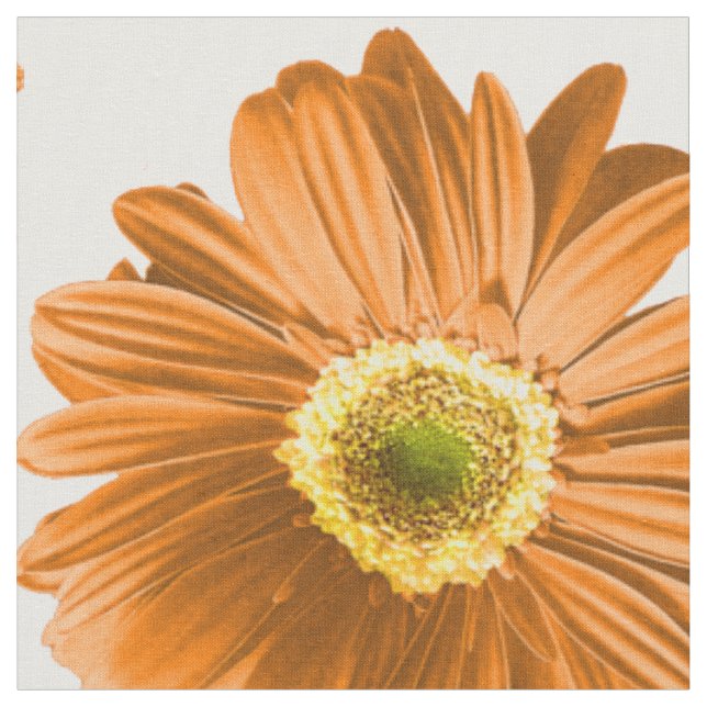 Tela Naranja Pop Daisy Pattern (De cerca)