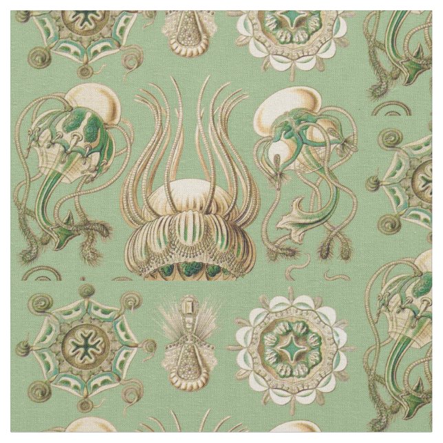 Tela Narcomedusae de Ernst Haeckel (De cerca)